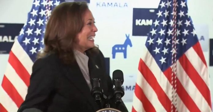 kamala-harris-talks-to-biden-as-if-he’s-a-toddler-in-campaign-headquarters-call:-“joe,-are-you-watching?-do-you-hear-this-clapping?”-(video)