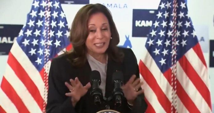 before-and-after:-watch-the-media’s-total-about-face-on-kamala-harris-as-biden’s-‘border-czar’-(video)