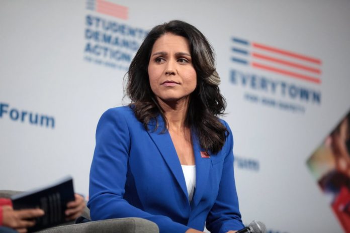 federal-air-marshal-whistleblowers-reveal-tulsi-gabbard-is-actively-under-surveillance-through-secretive-quiet-skies-program