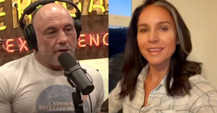 tulsi-gabbard-exposes-msnbc-as-a-propaganda-machine-for-democrat-elite-—-deceptively-edits-joe-rogan-clip-to-fabricate-support-for-kamala-harris