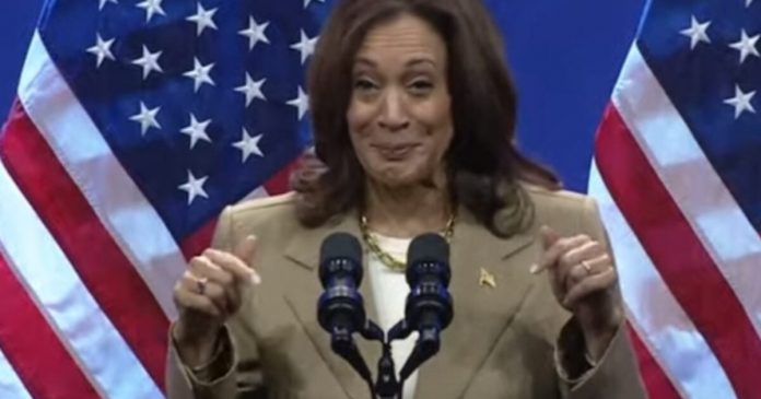 clown-show:-kamala-harris-was-dismissed-from-intense-meetings-on-middle-east-war-in-situation-room…-before-the-meeting-was-over