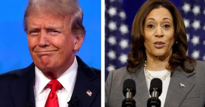 new-rasmussen-poll-shows-donald-trump-leading-kamala-harris-by-five-points