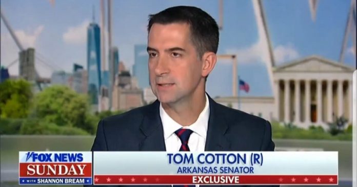 senator-tom-cotton-blasts-tim-walz-for-his-terrible-record-on-china-(video)