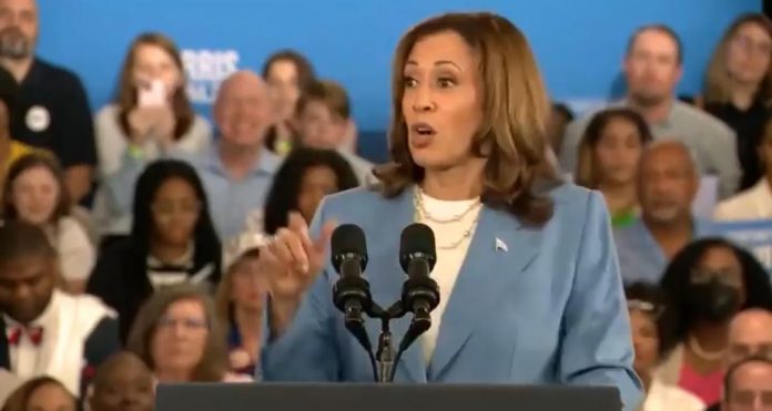 kamala-harris-steals-another-idea-from-trump-and-vance-–-proposes-$6,000-child-tax-credit