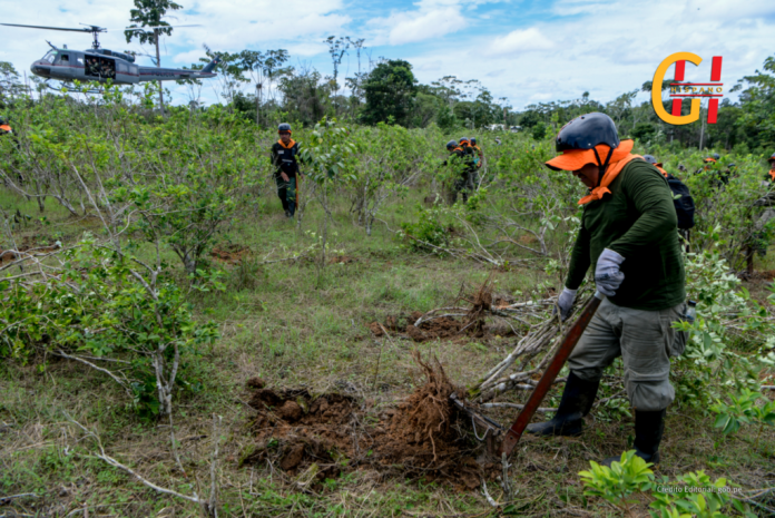 peru’s-aggressive-coca-leaf-eradication-efforts:-a-key-strategy-in-the-global-fight-against-cocaine