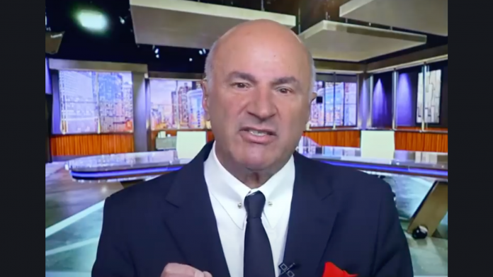 kevin-o’leary:-kamala-harris’-economic-plan-will-‘destroy-the-american-dream’-(video)