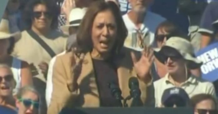 sick:-kamala-politicizes-georgia-school-shooting-by-likely-mentally-ill-person,-takes-aim-at-gun-rights-during-campaign-stop-(video)