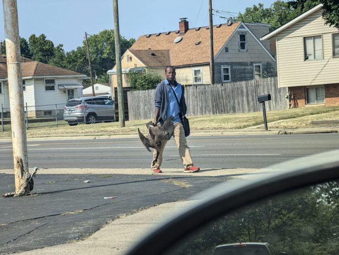 ohio-resident-horrified-after-spotting-missing-cat-‘hanging-from-a-branch,-being-carved-up-for-food’-by-haitian-migrants:-report