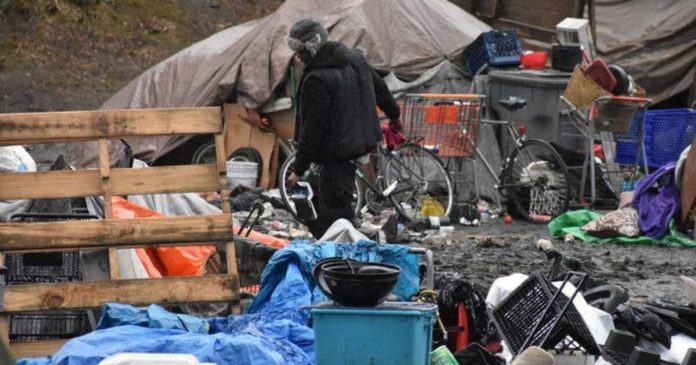 volunteers-cleaning-homeless-encampment-in-seattle-discover-nearly-80-potentially-explosive-propane-tanks