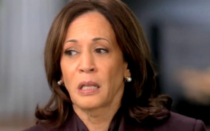 whoa:-kamala-harris-caught-in-major-plagiarism-scandal-by-famed-“plagiarism-hunter”-–-stole-from-several-sources-including-wikipedia-to-write-important-book