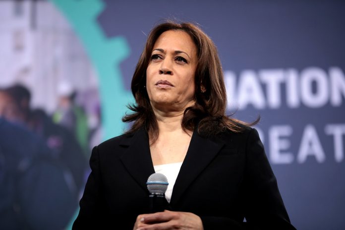 report:-kamala-harris’s-campaign-in-pennsylvania-plagued-by-infighting-and-internal-divisions