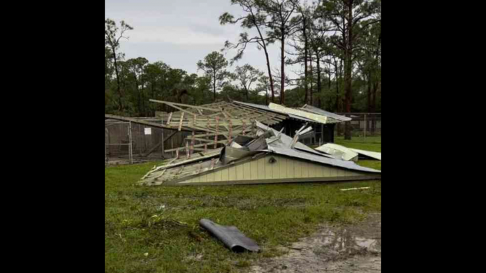 shelter-that-saves-thousands-of-animals-each-year-destroyed-by-tornado-during-hurricane-milton