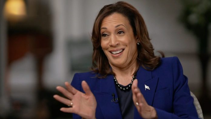 autopsy-of-a-failed-presidential-campaign:-here’s-all-the-ways-kamala-dropped-the-ball