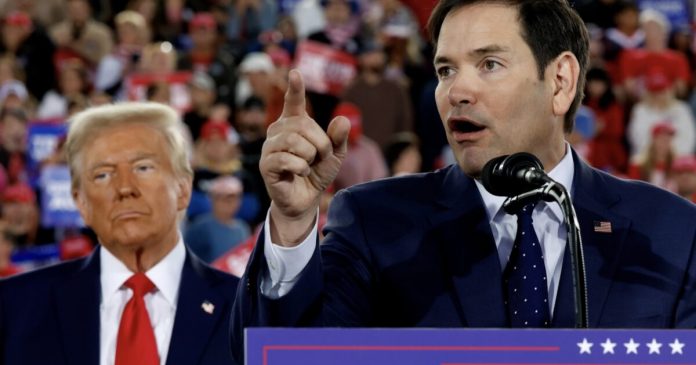 trump-expected-to-appoint-senator-marco-rubio-as-secretary-of-state:-report