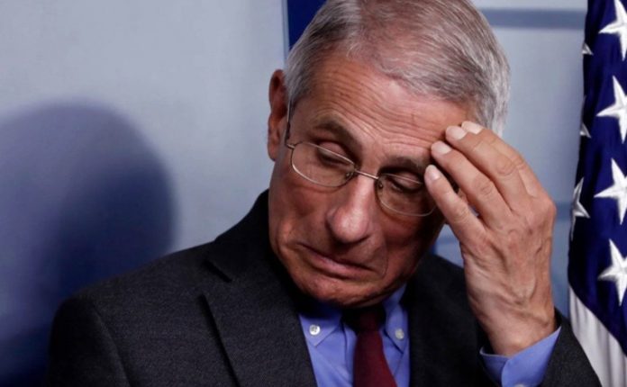 report:-as-private-citizen,-anthony-fauci-received-a-$15-million-taxpayer-funded-security-detail