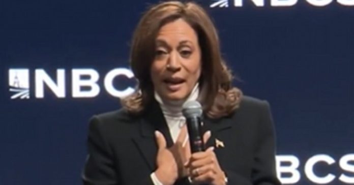 amazing:-after-burning-through-more-than-a-billion-dollars,-kamala-harris-warns-democrats-to-be-careful-using-their-‘limited-resources’-(video)