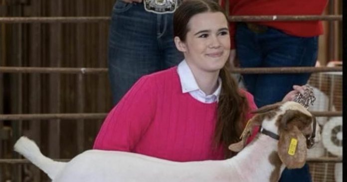 show-goat-dies-horrifically-in-teen-competitor’s-arms,-older-rival-now-facing-felony-charge-under-texas-law