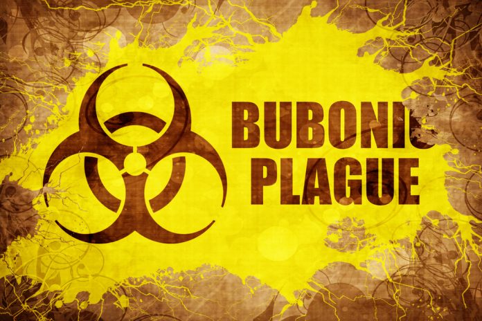 here-we-go:-scientists-behind-astrazeneca-covid-jab-rush-to-develop-bubonic-plague-vaccine-as-fears-of-the-next-pandemic-loom