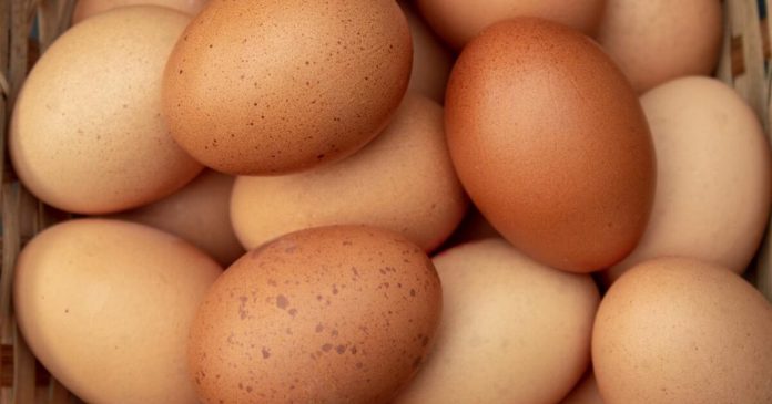 egg-prices-hit-shocking-highs-–-will-$9-a-dozen-be-the-new-standard?