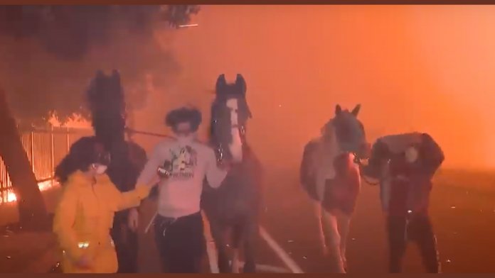 powerful-video-captures-horses-being-rescued-from-california-fires-(video)