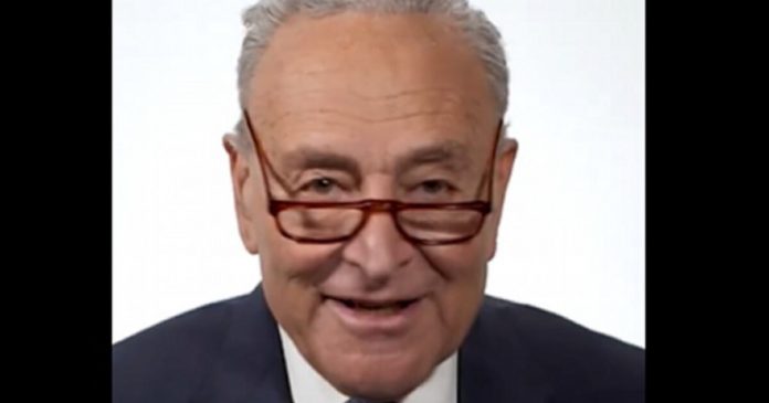 senate-democrats-mocked-over-cringeworthy-video-where-they-suddenly-claim-to-be-fighting-for-average-americans