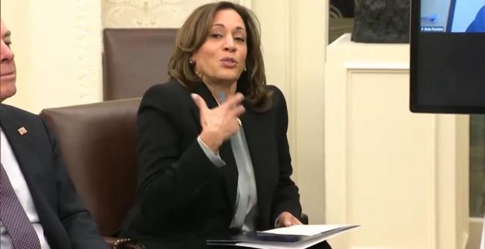 kamala-harris-delivers-word-salad-to-california-wildfire-victims-(video)