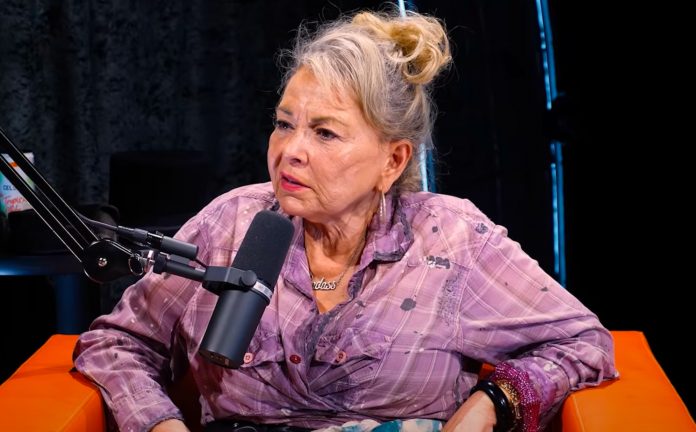 roseanne-barr-plots-long-awaited-tv-comeback-—-working-on-comedy-series-about-gun-toting-alabama-farmers