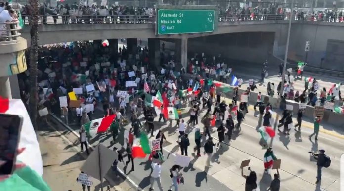 lawlessness-–-anti-ice-protestors-block-major-portions-of-los-angeles-freeway-(video)