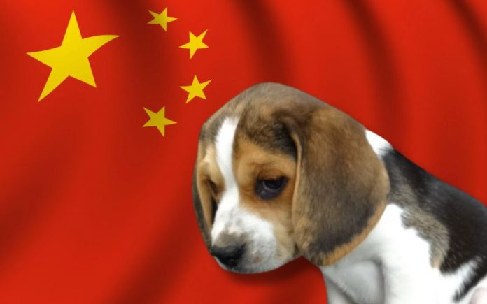 sen-joni-ernst-and-rep.-nicole-malliotakis-call-on-trump-to-end-funding-for-animal-testing-in-chinese-labs