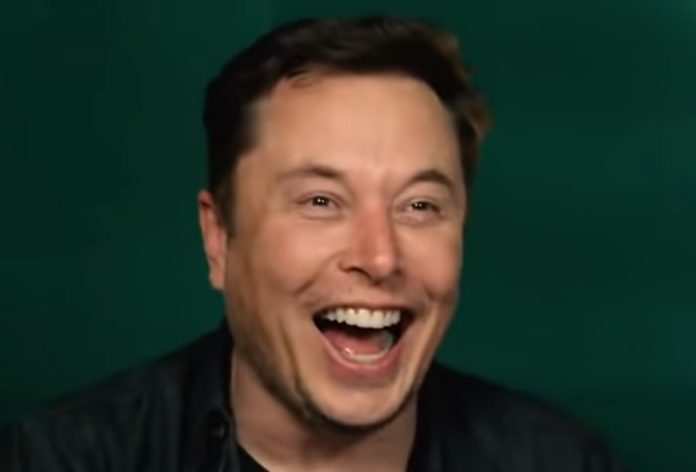 elon-musk-unveils-a-creative-proposal-to-rid-america-of-the-corrupt-judges-sabotaging-the-trump-administration