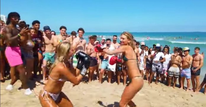 spring-break-gone-wild!-bikini-clad-spring-breakers-participate-in-illegal-boxing-match-–-with-crypto-bets-(video)