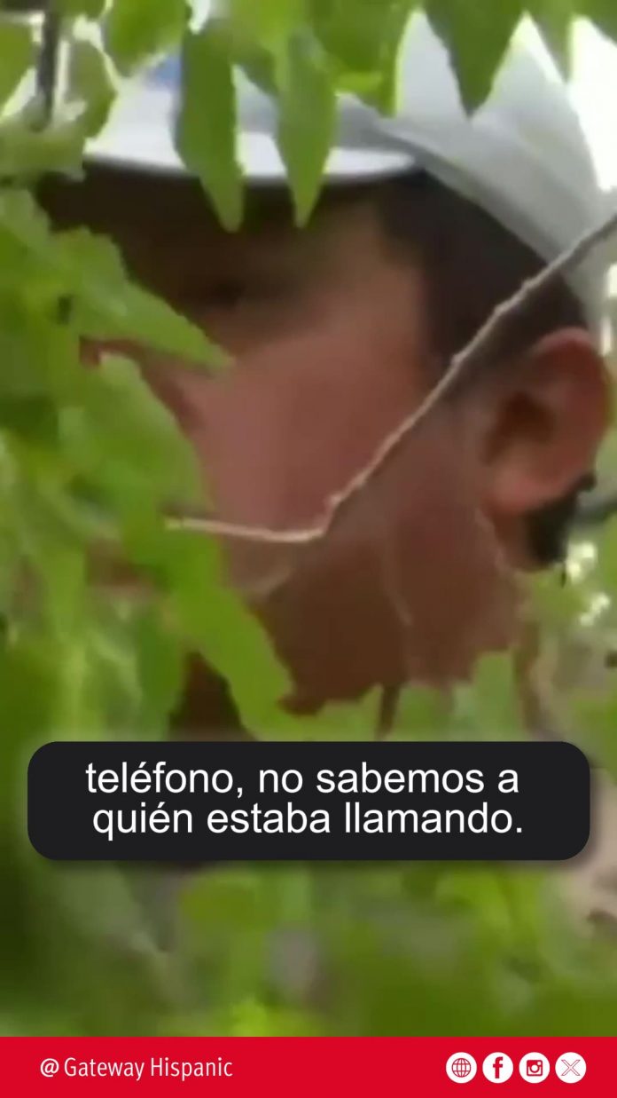 raul,-the-tree-climbing-illegal