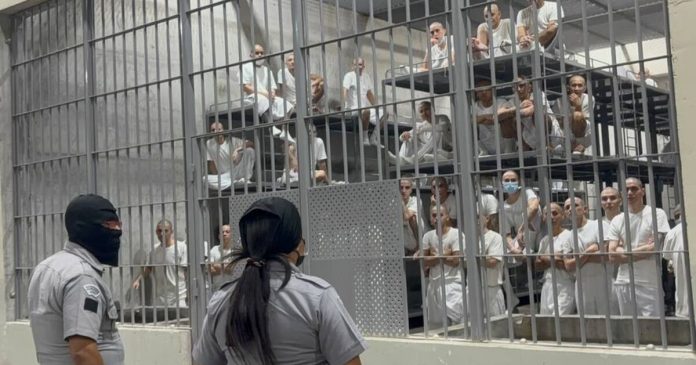 second-criminal-venezuelan-alien-deported-to-el-salvador’s-cecot-prison-and-ordered-to-be-returned-to-us-by-federal-judge-unmasked