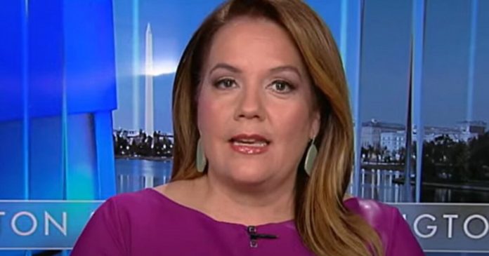 mollie-hemingway-slams-activist-judges-on-immigration:-‘they’re-saying,-we-don’t-care-who-won-the-election’-(video)