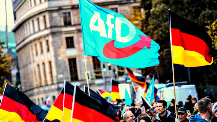 chairman-of-senate-intelligence-committee-tom-cotton-calls-for-the-us-to-pause-intel-sharing-with-german-government,-not-to-help-it-to-spy-on-right-wing-afd-party