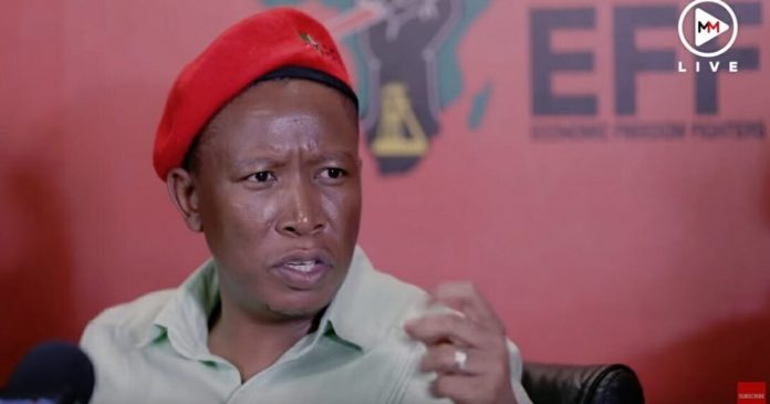 flashback:-south-african-eff-leader-julius-malema-admits-trump-is-right-–-we’re-coming-after-white-farmers-(video)