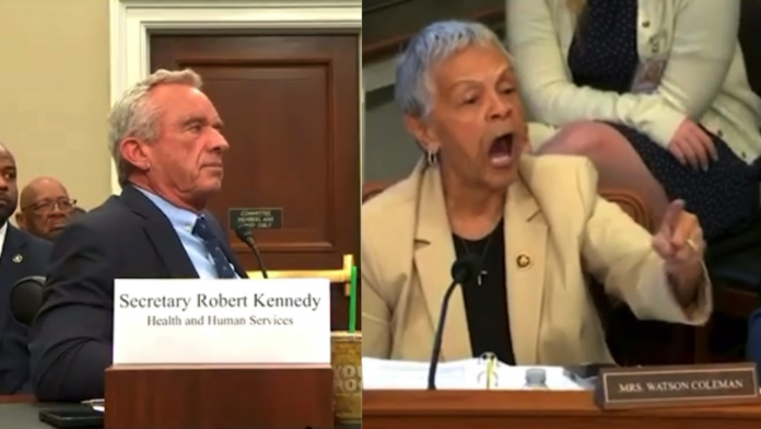 hate-filled-rep.-bonnie-watson-coleman-goes-on-disrespectful-race-baiting-attack-against-rfk-jr-in-committee-hearing-–-rfk-hilariously-shuts-her-down-when-time-expires-and-she-replies,-“so-has-your-legitimacy!”-(video)
