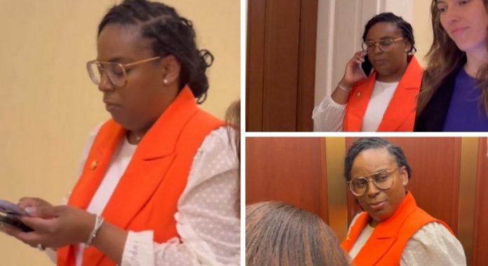 watch:-lamonica-mciver-wearing-prison-orange-suit-repeatedly-refuses-to-answer-gateway-pundit-reporter’s-questions-about-assaulting-agents-at-ice-facility-as-criminal-investigation-looms